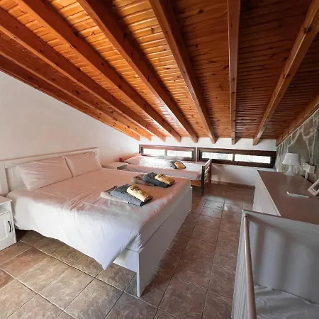 Leo's Paradise 普罗塔拉斯